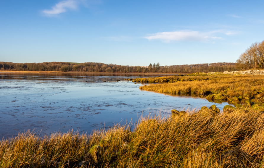 U.K. saltmarshes